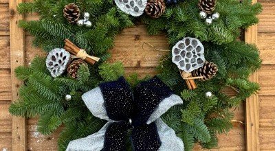 What to do in the Garden in December