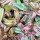 What to do in the Garden in October