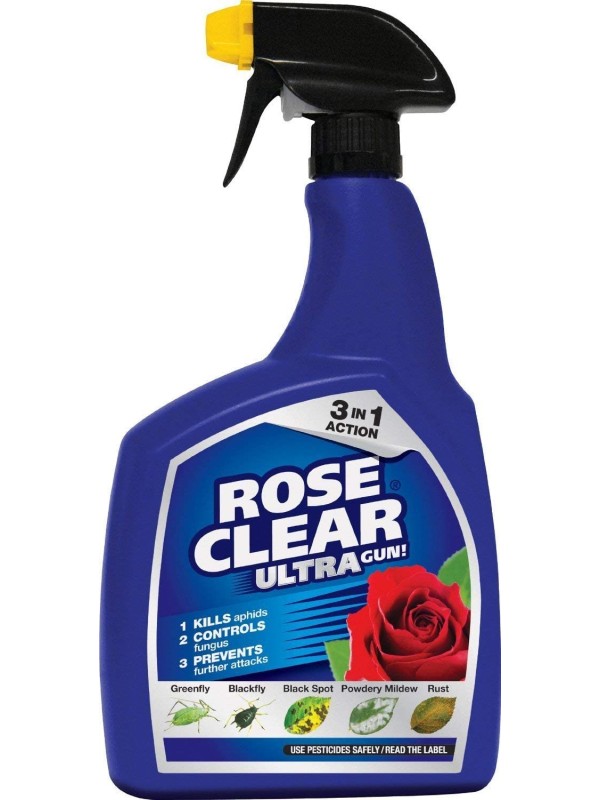 Rose Clear 