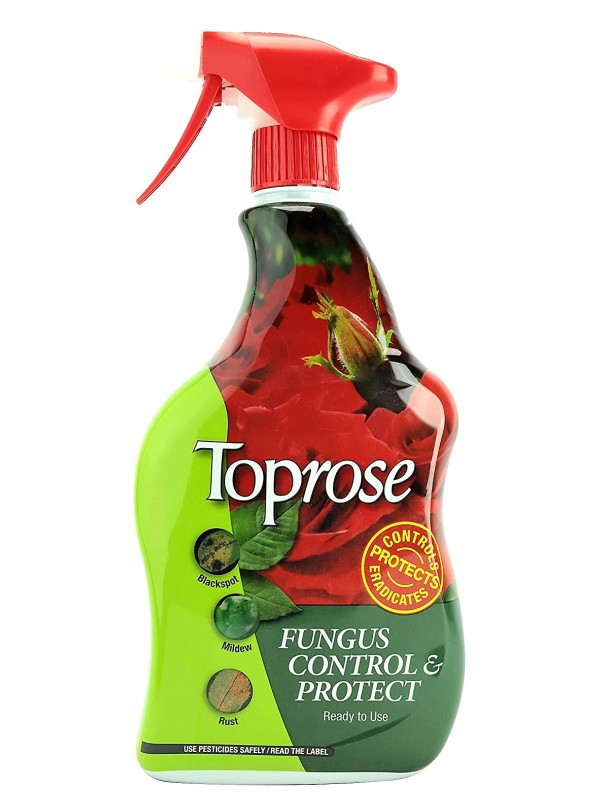 Toprose Fungus Control and Protect