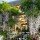 How and when to prune Wisteria