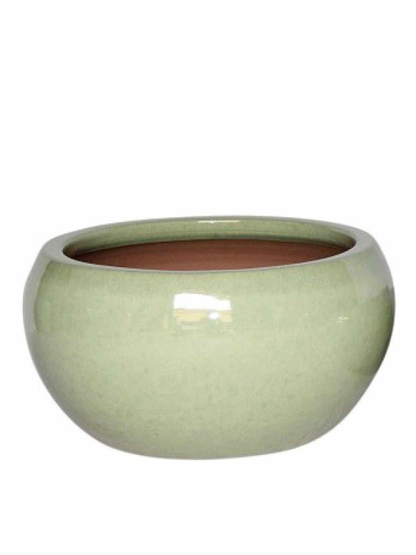 Green Bowl Large