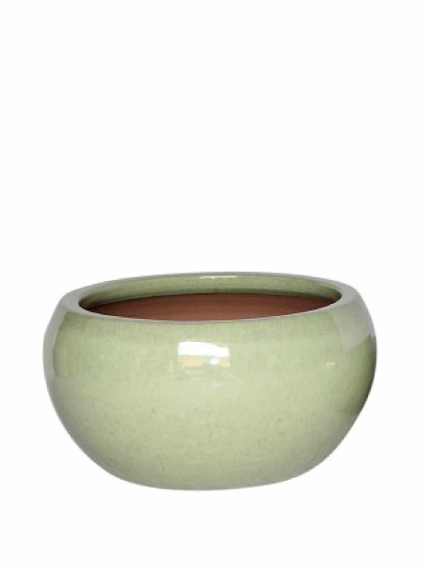 Green  Bowl Medium