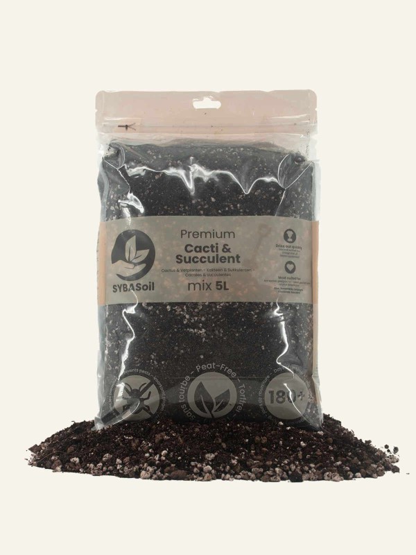 Cactus & Succulent Compost Mix