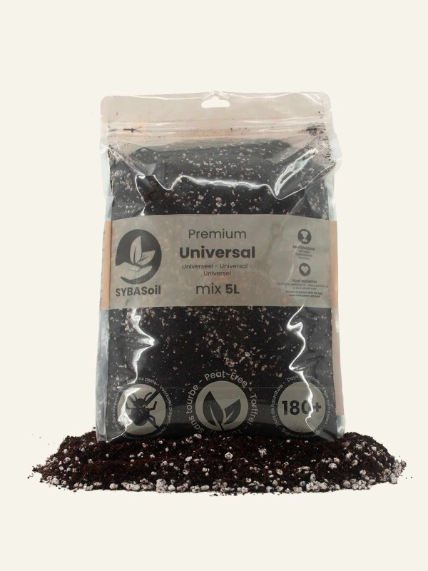 Houseplant Compost Mix