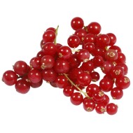Redcurrants